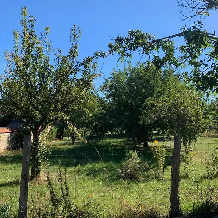 Cabane Bambou Huriel Exterior photo